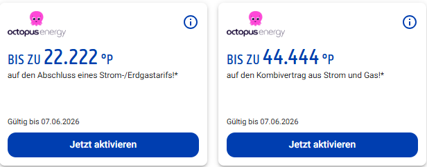 PAYBACK Aktion Octopus Energy